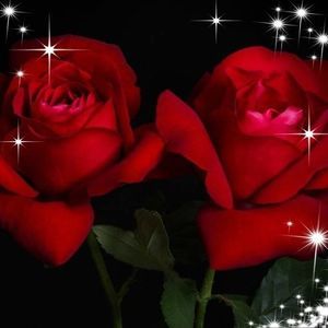 Meet your Posher, Unique sarah